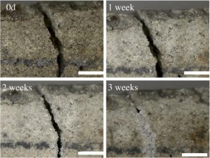 Self-healing materials-atriainnovation.com